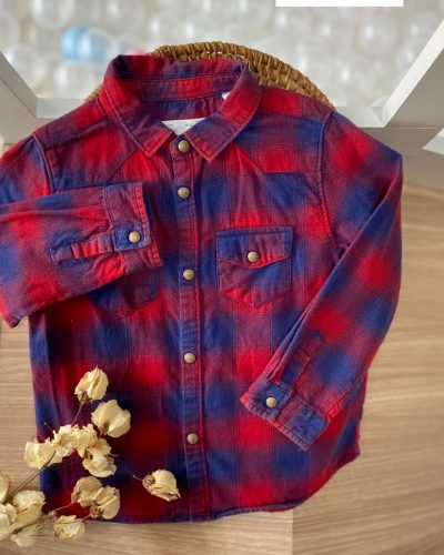Camisa Zara Xadrez Tamanho 18-24 meses