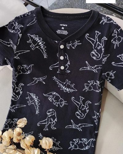 Camiseta Dino Carter's Tamanho 5