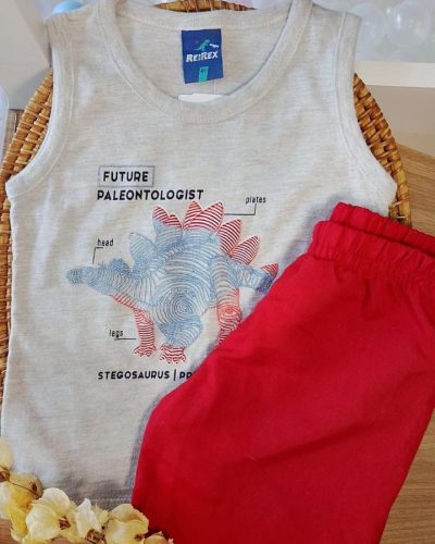 Conjunto Reirex Tamanho 1