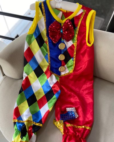 Fantasia Palhaço Tamanho 6