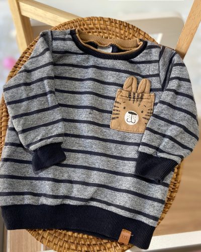 Moletom Alakazoo Tamanho 9 12 meses